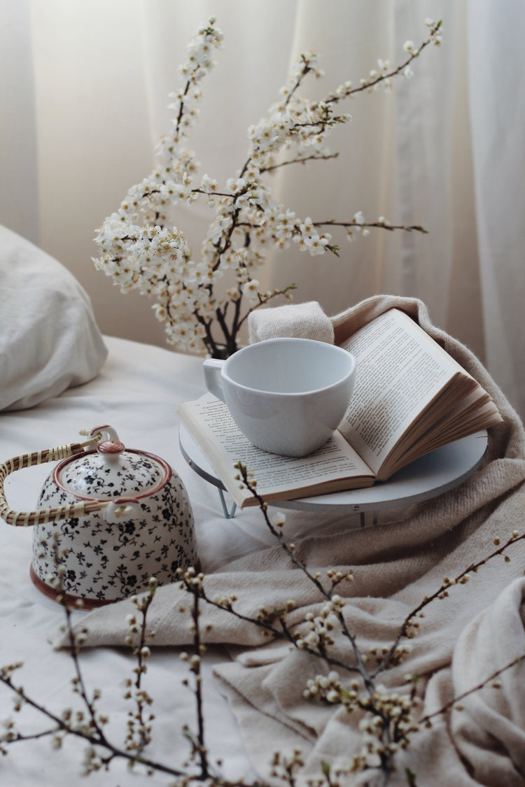🤍 SCENTS FOR COMFORT & COZY LIVING