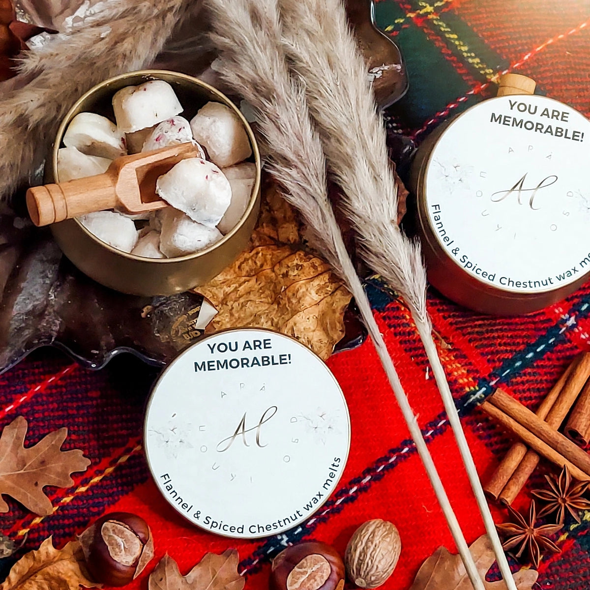 You are Memorable | Luxury Wax Melts – Flameless Non-Toxic Home Fragrance